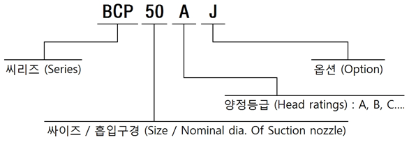 형식 표시방법