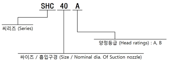 형식 표시방법