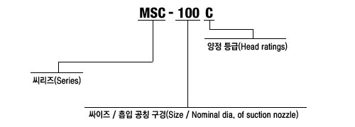 형식 표시방법
