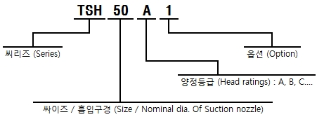 형식 표시방법