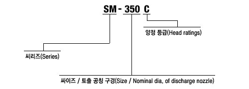 형식 표시방법